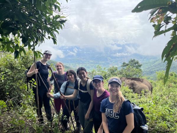 Community volunteering and elephant watching, Thailand
