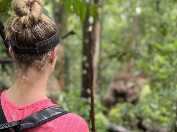 Community volunteering and elephant watching, Thailand