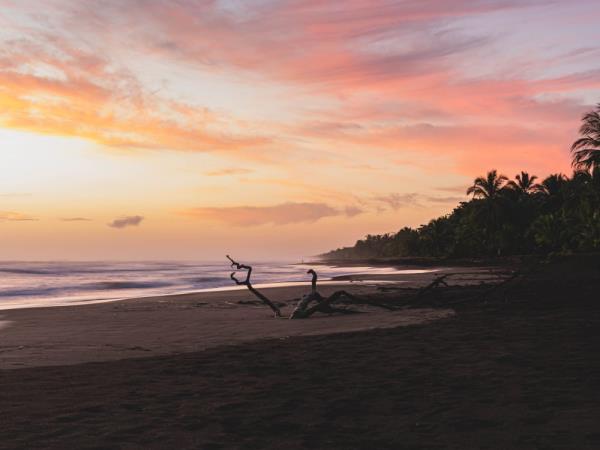 Costa Rica Caribbean coast vacation