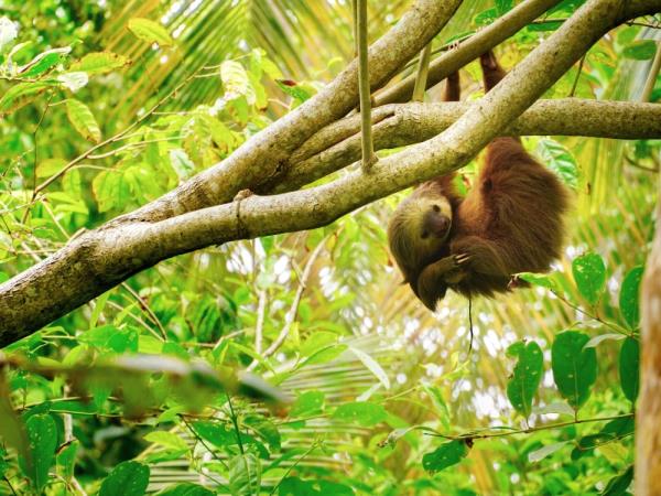 Costa Rica honeymoon, off the beaten track