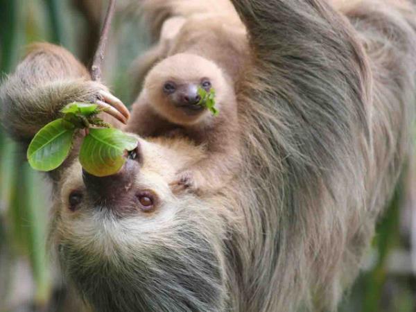 Costa Rica ecotourism vacation