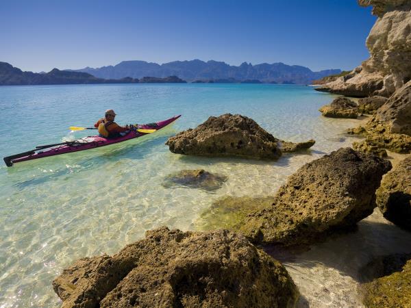 Baja kayaking and whale watching vacation