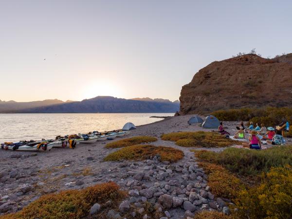 Baja kayaking and whale watching vacation