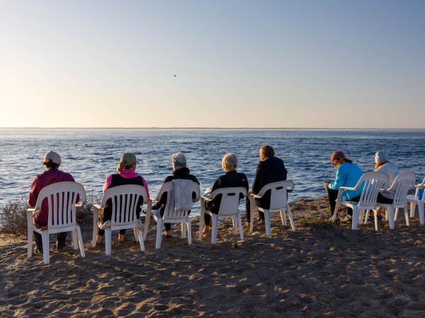 Baja kayaking and whale watching vacation