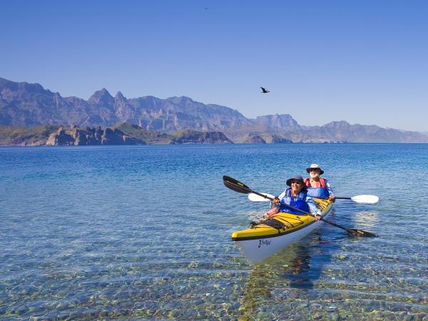 Baja kayaking and whale watching vacation