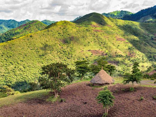 Ethiopia coffee tour
