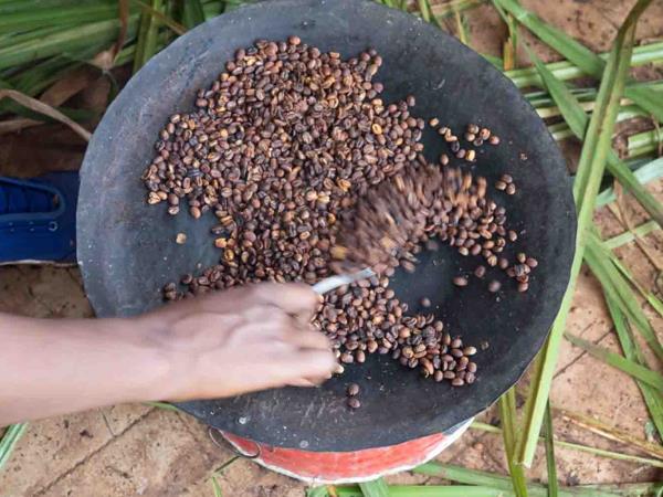 Ethiopia coffee tour