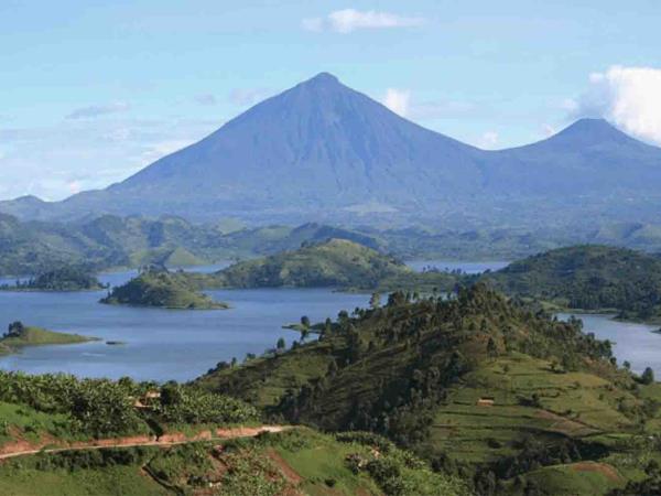 Gorillas & hiking Uganda�s Rwenzori Mountains