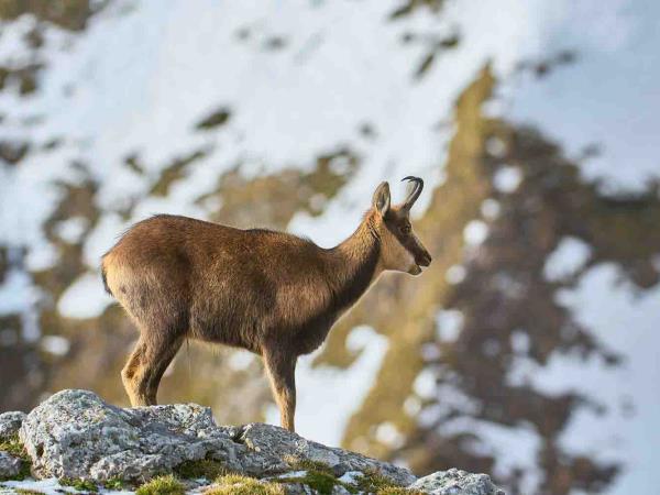 Picos de Europa tailor made vacation