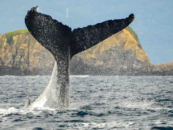 Ryukyu Islands tour, off the beaten track in Japan