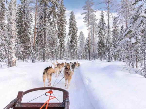 Lapland small group winter vacation