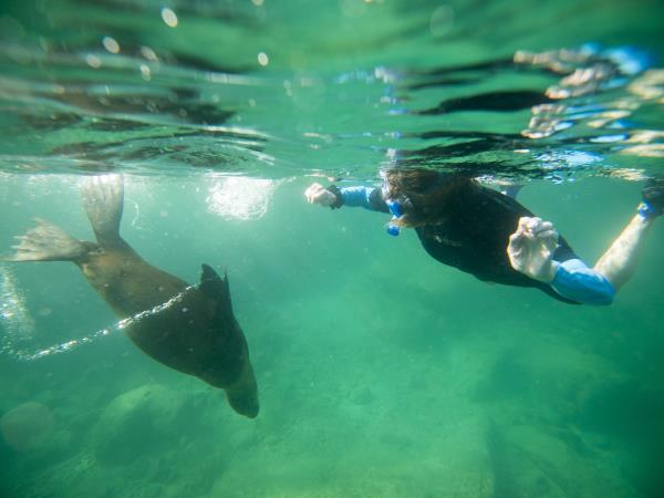 Espiritu Santo sea kayaking tour in Baja