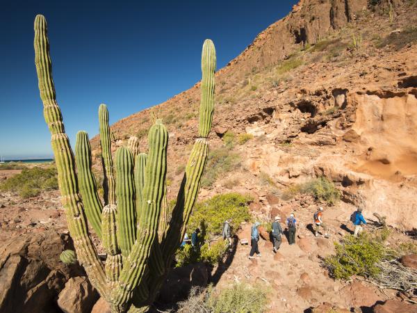 Espiritu Santo sea kayaking tour in Baja