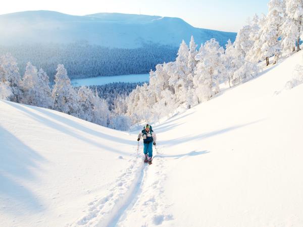 Finland winter wilderness adventure tour
