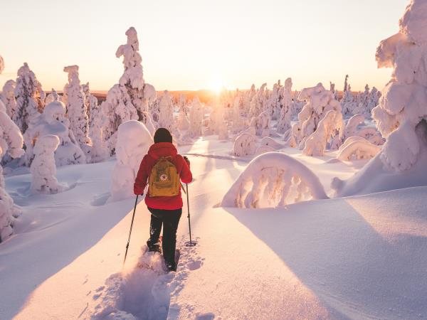 Finland winter wilderness adventure tour
