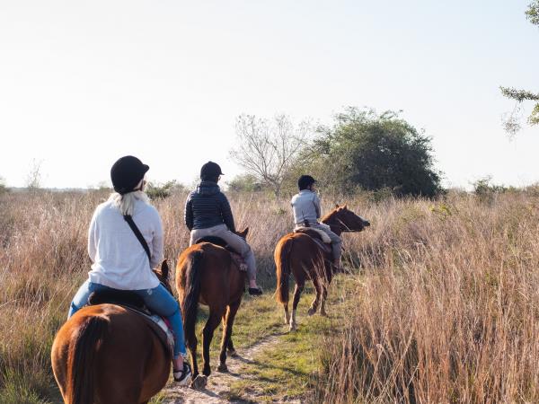 Ibera Wetlands and Iguazu Falls vacation