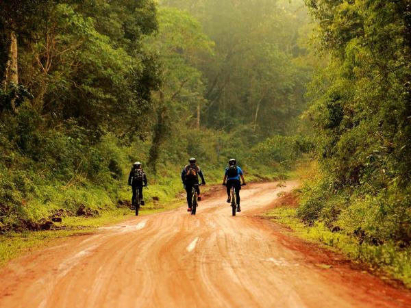 Ibera Wetlands and Iguazu Falls vacation