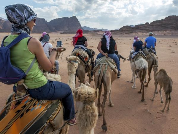 Jordan bird watching tour