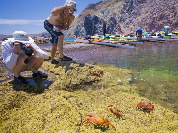 Sea kayaking vacation in Baja, Loreto to La Paz