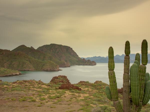 Sea kayaking vacation in Baja, Loreto to La Paz