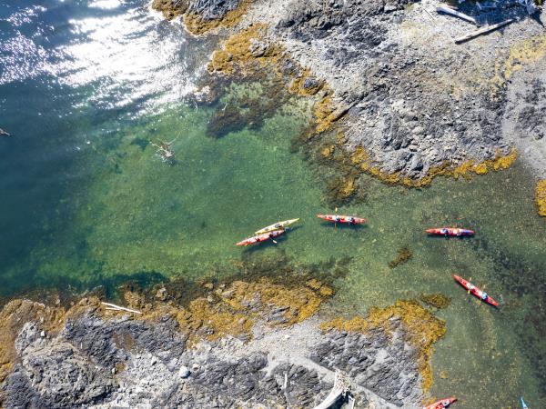 British Columbia sea kayaking vacation