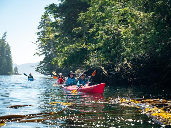 British Columbia sea kayaking vacation