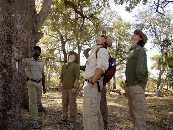 Luxury Victoria Falls, Kruger Park and Cape Town vacation