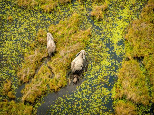 Luxury Victoria Falls, Kruger Park and Cape Town vacation