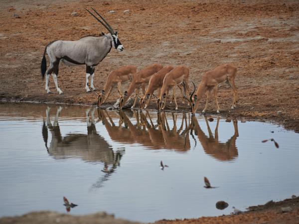 Namibia photography tour
