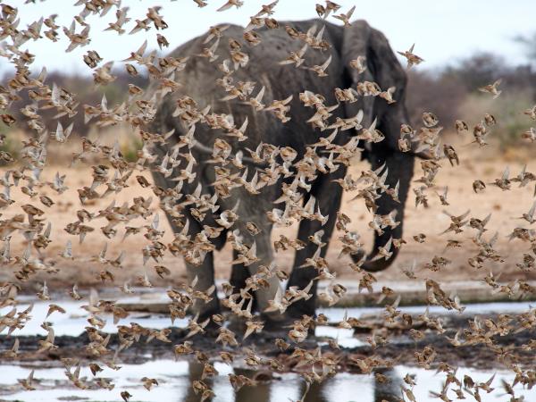 Namibia photography tour