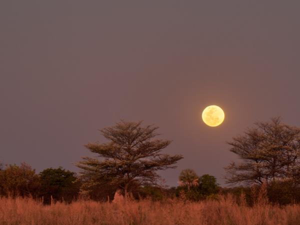 Namibia photography tour