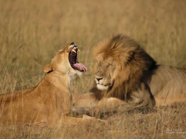 Photo Safari in Botswana