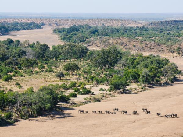 Photo Safari in Botswana
