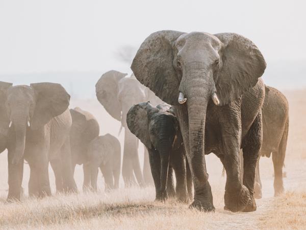 Victoria Falls photography vacation, Zimbabwe