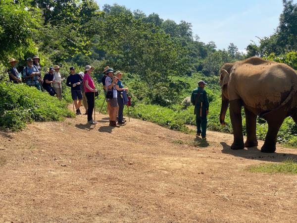Elephant adventure vacation, Laos