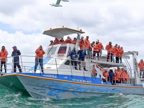 Marine conservation vacation, South Africa 