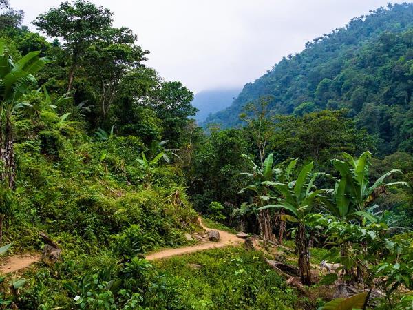 Lost City trek & Tayrona beach vacation, Colombia