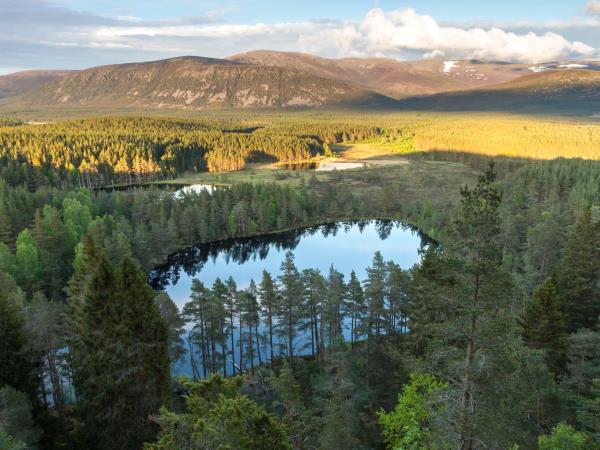 Rewilding holiday in Cairngorms