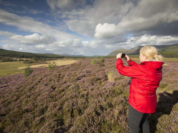 Rewilding holiday in Cairngorms