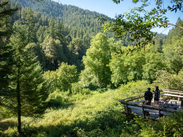Rogue River rafting holiday in the USA