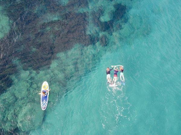 Marine and coastal conservation vacation, Greece