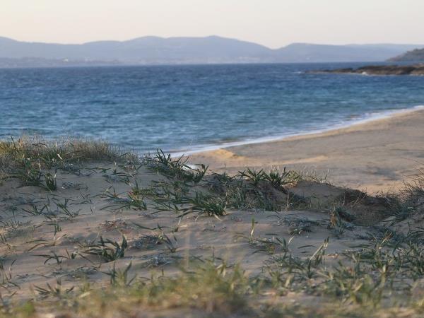 Marine and coastal conservation vacation, Greece