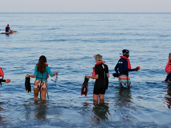 Marine and coastal conservation vacation, Greece