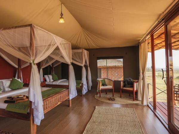 East Africa classic safari tour
