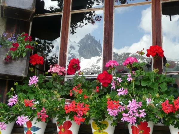 Tour du Mont Blanc self guided walking tour