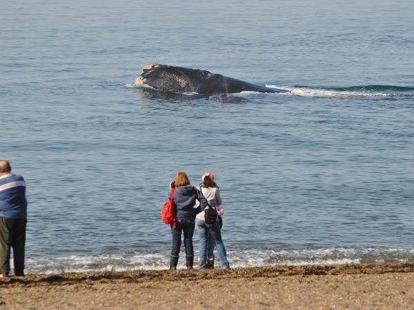 Patagonia family vacation