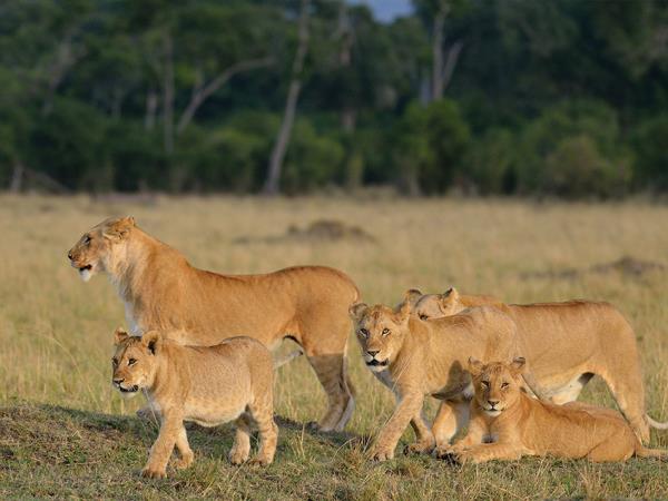 Tanzania highlights holiday