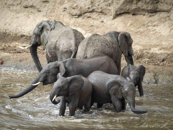 Tanzania highlights holiday