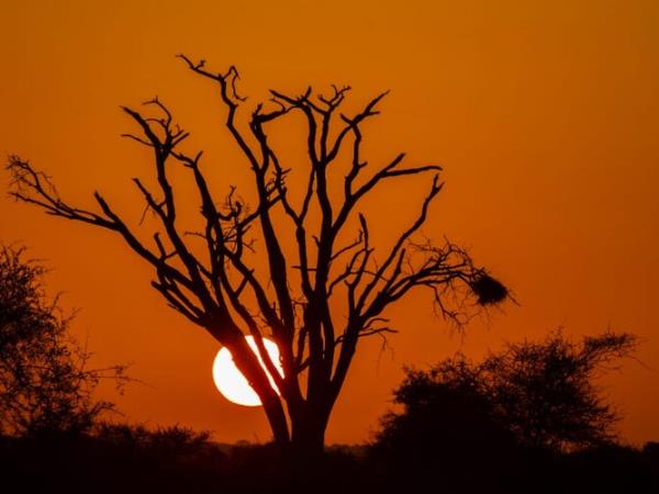 Kenya guided wildlife vacation