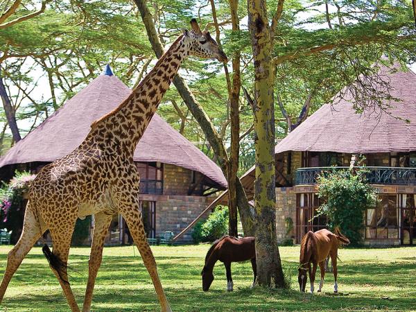 Kenya and Tanzania small group safari vacation